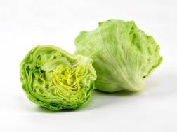 Iceberg lettuce-আইসবার্গ লেটুস