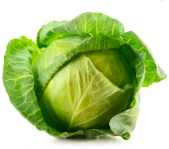 Cabbage